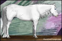 Horse Color:Black Frame 