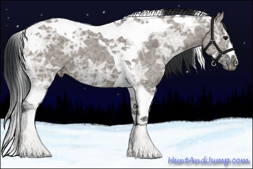 Horse Color:Grullo Ice Tobiano 