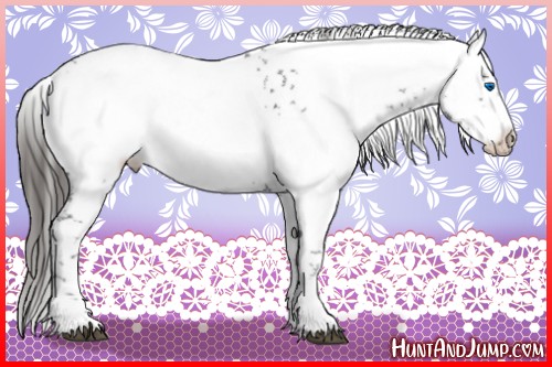 Horse Color:Liver Chestnut Frame 