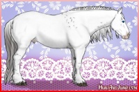 Horse Color:Liver Chestnut Frame 