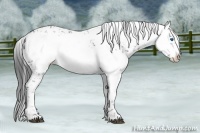 Horse Color:Black Frame 