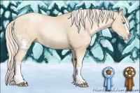 Horse Color:White Spotted Gold Cream Champagne Pearl Splash 
