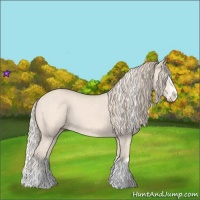 Horse Color:Cremello Splash  and Perlino Splash 