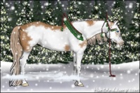 Horse Color:Chestnut Splash Frame 