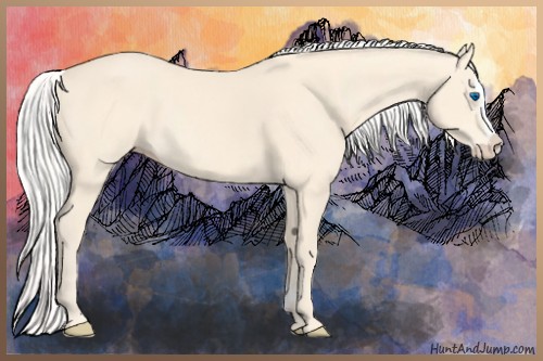 Horse Color:Cremello Splash and Silver Perlino Splash