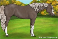 Horse Color:Silver Black and Silver Black