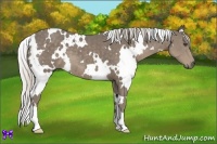 Horse Color:White Spotted Silver Smoky Black