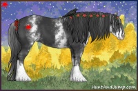 Horse Color:White Spotted Black 