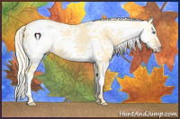Horse Color:White Spotted Gold Cream Champagne Dun 