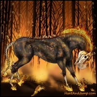 Horse Color:Black  and Smoky Black 