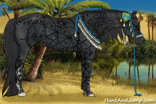 Horse Color:Black and Black