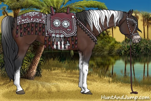 Horse Color:Bay Sabino Tobiano Frame