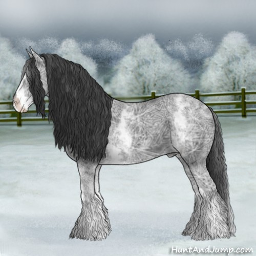 Horse Color:White Spotted Black Ice Sabino 