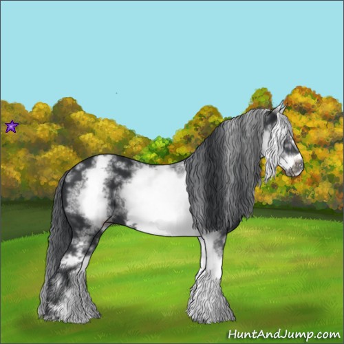 Horse Color:White Spotted Black Sabino Frame 