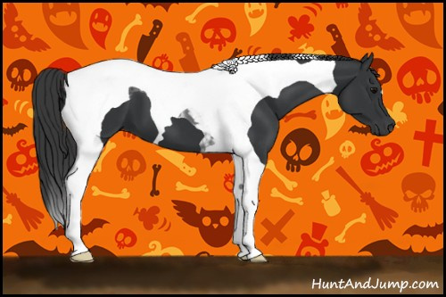 Horse Color:Black Tobiano 