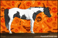 Horse Color:Black Tobiano 