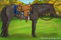 Horse Color:Smoky Black Rabicano