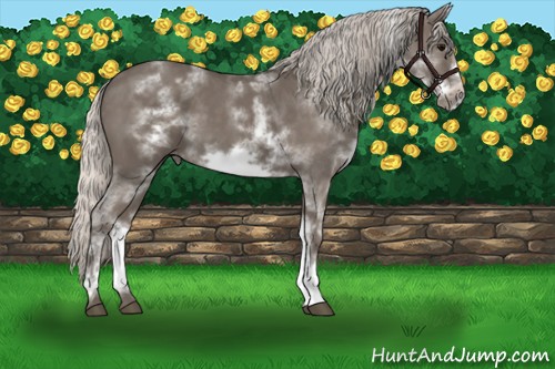Horse Color:White Spotted Silver Black Sabino Frame 