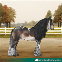 Horse Color:Brown Tobiano 