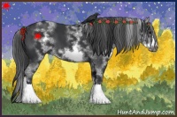 Horse Color:White Spotted Black Sabino Frame