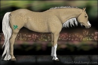 Horse Color:Silver Smoky Black 