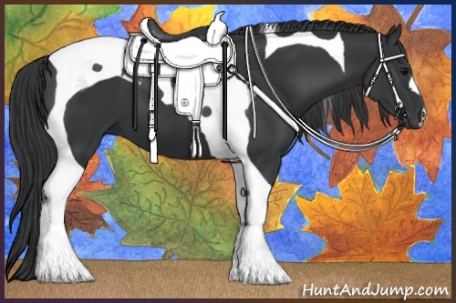 Horse Color:Black Tobiano 