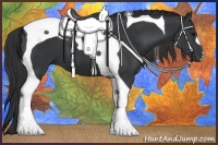 Horse Color:Black Tobiano