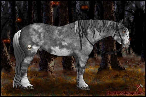 Horse Color:White Spotted Black Frame 