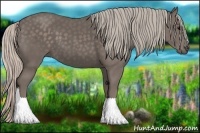 Horse Color:Silver Black 