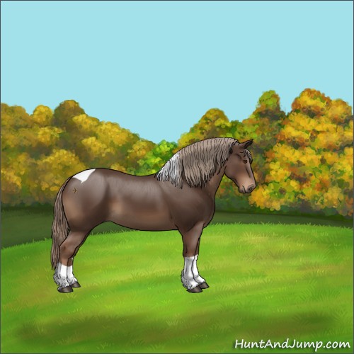 Horse Color:Liver Chestnut Tobiano