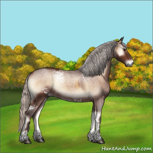 Horse Color:White Spotted Silver Brown Onyx Rabicano  and White Spotted Silver Brown Roan Onyx 