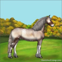 Horse Color:White Spotted Silver Brown Onyx Rabicano  and White Spotted Silver Brown Roan Onyx 