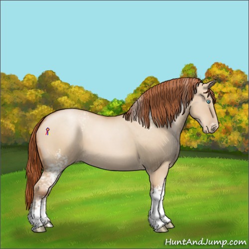 Horse Color:White Spotted Buckskin Pearl Dun 