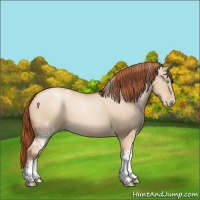 Horse Color:White Spotted Buckskin Pearl Dun 