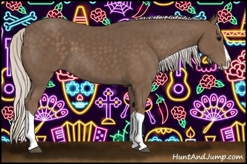 Horse Color:Silver Black Splash