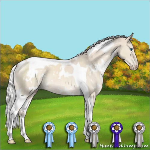 Horse Color:White Spotted Silver Perlino Dun Mushroom Tobiano