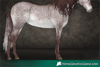 Horse Color:Platinum Chocolate Brown Dun Brindle 