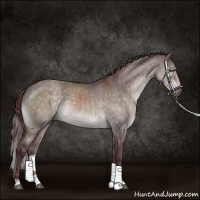 Horse Color:Platinum Chocolate Brown Dun Brindle 