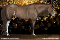 Horse Color:Gray Black Pearl Sabino Rabicano