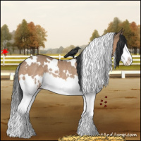 Horse Color:White Spotted Brown Dun Splash Rabicano 