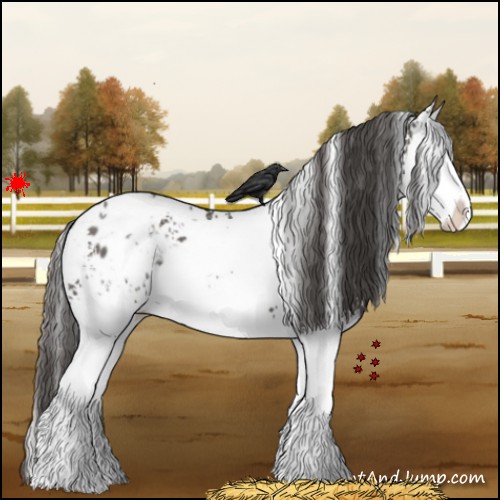 Horse Color:White Spotted Grullo Splash Varnish 