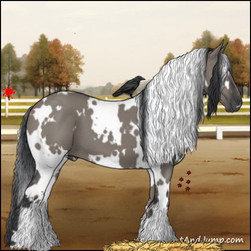 Horse Color:White Spotted Grullo