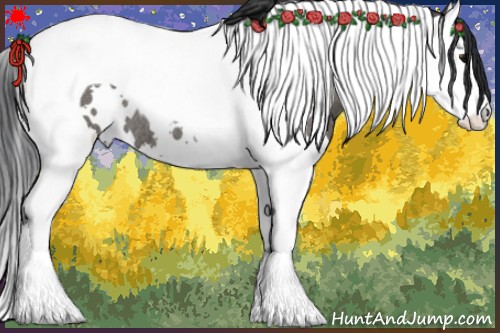 Horse Color:White Spotted Grullo Splash Tobiano Rabicano 