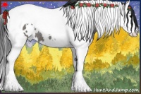 Horse Color:White Spotted Grullo Splash Tobiano Rabicano