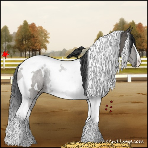 Horse Color:White Spotted Grullo Tobiano 
