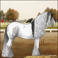 Horse Color:White Spotted Grullo Tobiano
