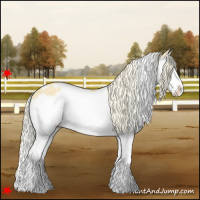 Horse Color:White Spotted Gold Cream Champagne Dun Splash 