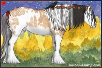 Horse Color:White Spotted Bay Dun Splash 