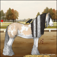 Horse Color:White Spotted Bay Dun Splash 