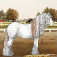 Horse Color:White Spotted Gold Champagne Dun Splash Appaloosa 